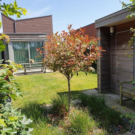 Bonnies Beach & Spa Duinnest Cadzand Exterior foto