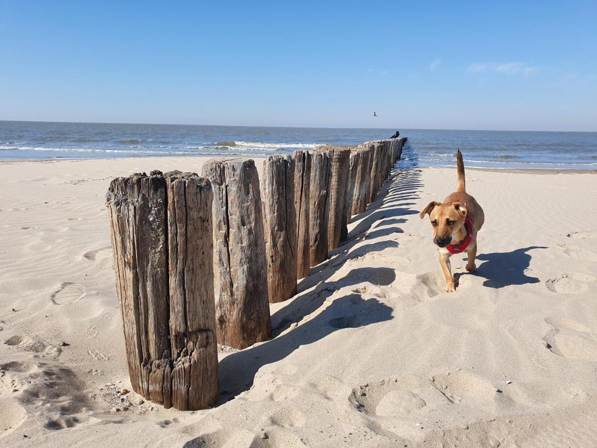 Bonnies Beach & Spa Duinnest Cadzand Exterior foto